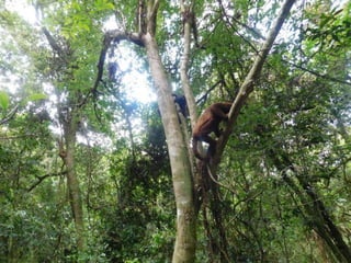 Viagem quinta da estância   1º dia