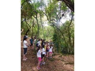 Viagem quinta da estância   1º dia