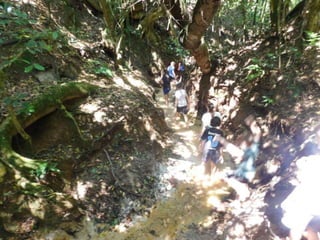 Viagem quinta da estância   1º dia