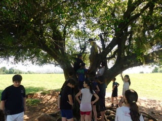 Viagem quinta da estância   1º dia