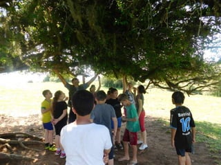 Viagem quinta da estância   1º dia