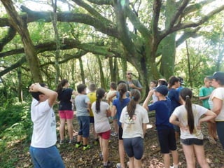 Viagem quinta da estância   1º dia