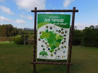 Viagem quinta da estância   1º dia