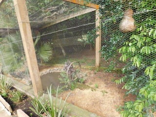 Viagem quinta da estância   1º dia