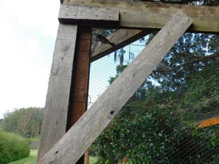 Viagem quinta da estância   1º dia