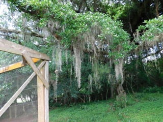 Viagem quinta da estância   1º dia