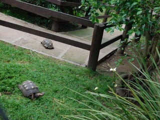 Viagem quinta da estância   1º dia