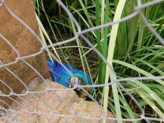 Viagem quinta da estância   1º dia