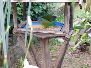 Viagem quinta da estância   1º dia