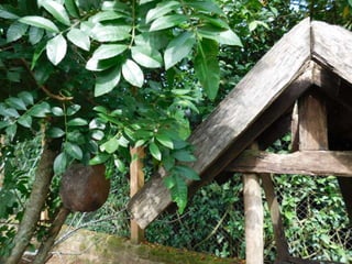 Viagem quinta da estância   1º dia