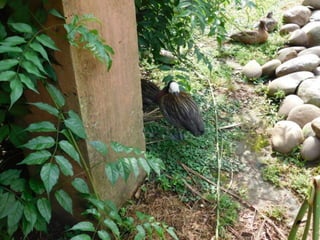 Viagem quinta da estância   1º dia