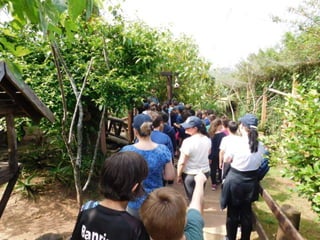 Viagem quinta da estância   1º dia