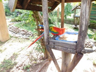 Viagem quinta da estância   1º dia