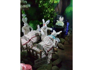 Viagem à toca do coelho