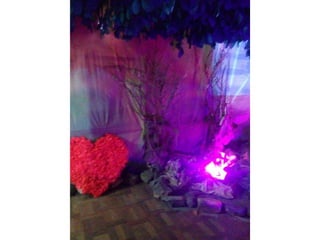 Viagem à toca do coelho