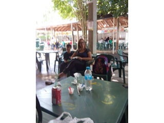 Viagem à toca do coelho