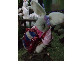 Viagem à toca do coelho