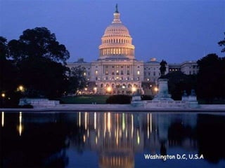 Washington D.C, U.S.A

 