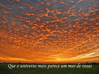 Que o universo mais parece um mar de rosas
 