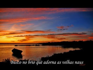 Busco no brio que adorna as velhas naus
 