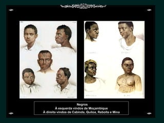 Negros À esquerda vindos de Moçambique À direita vindos de Cabinda, Quiloa, Rebolla e Mina 