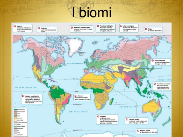 I biomi del pianeta terra