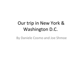 Our  trip in New York & Washington D.C.  By  Daniele Cosmo and Joe  Shmoe 