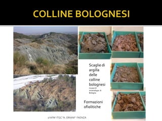 2I AFM ITGC "A. ORIANI" FAENZA
Scaglie di
argilla
delle
colline
bolognesi
museo di
mineralogia di
Bologna
Formazioni
ofiolitiche
 