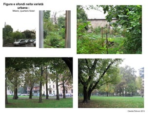 Figure e sfondi nella varietà
urbana :
Milano, quartiere Solari
Claudia Petrucci 2013
 