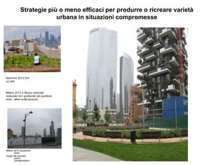 Strategie più o meno efficaci per produrre o ricreare varietà
urbana in situazioni compromesse
Milano 2013 Quartiere
Isola
luogo del previsto
parco
compensativo
NewYork 2013 Orti
sui tetti
Milano 2013 Il “Bosco verticale”
realizzato tra i grattacieli del quartiere
Isola : alberi sulle terrazze
 