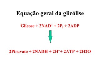 Equação geral da glicólise
Glicose + 2NAD+ + 2Pi + 2ADP
2Piruvato + 2NADH + 2H++ 2ATP + 2H2O