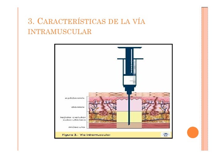 via intramuscular
