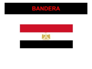 BANDERA 
