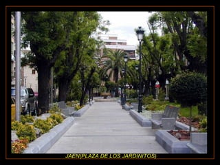 JAEN(PLAZA DE LOS JARDINITOS) 