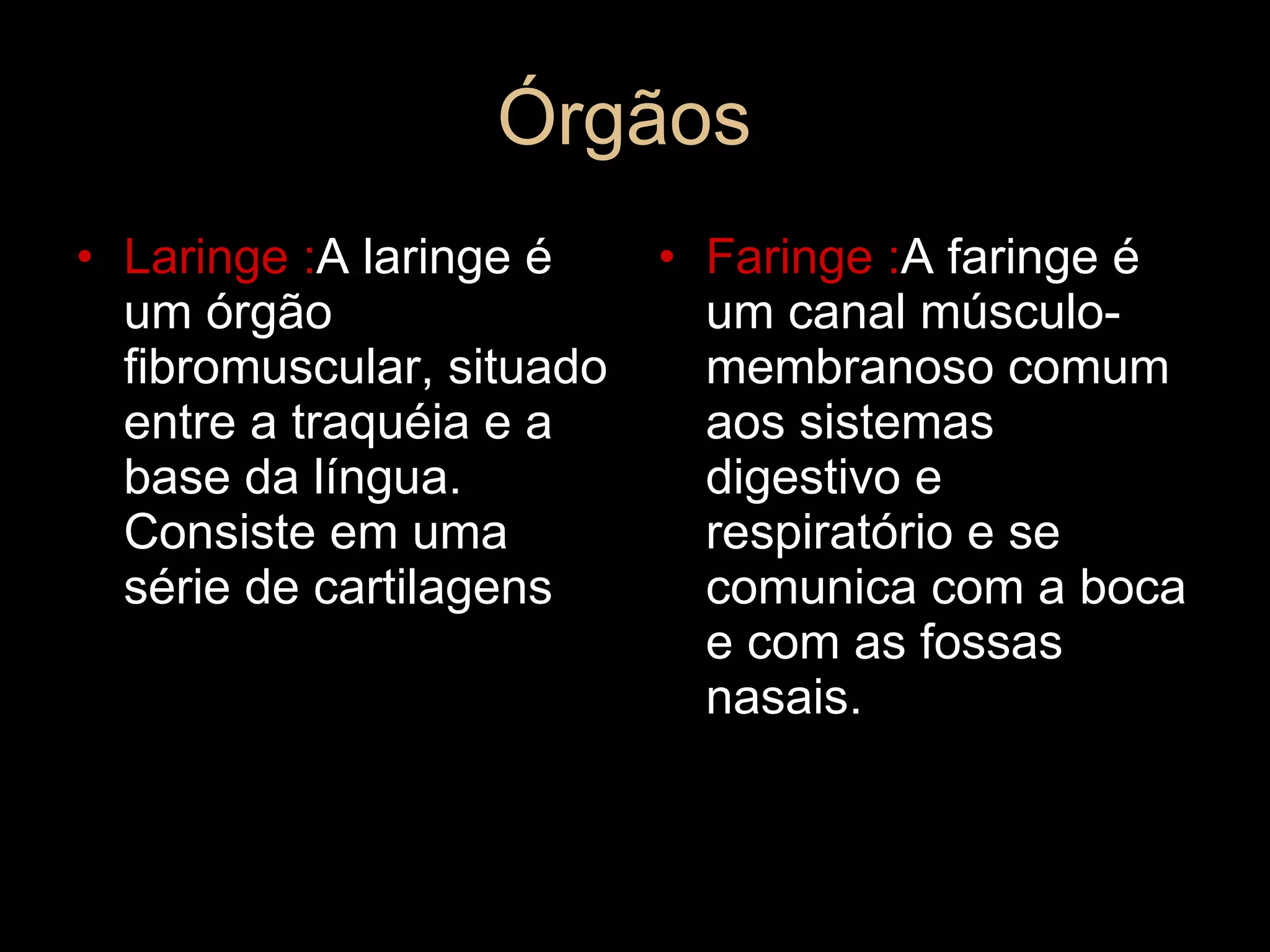 Órgãos  Laringe : A laringe é um órgão fibromuscular, situado entre a traquéia e a base da língua. Consiste em uma série de cartilagens Faringe : A faringe é um canal músculo-membranoso comum aos sistemas digestivo e respiratório e se comunica com a boca e com as fossas nasais. 