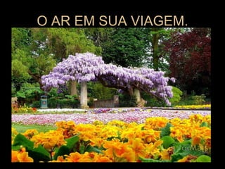 O AR EM SUA VIAGEM. 