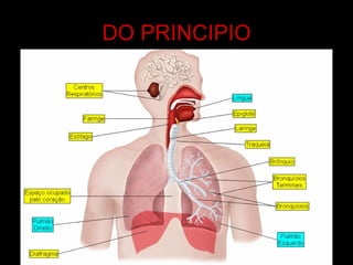 DO PRINCIPIO 