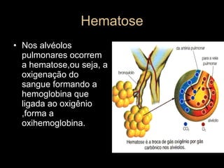 Hematose Nos alvéolos pulmonares ocorrem a hematose,ou seja, a oxigenação do sangue formando a hemoglobina que ligada ao oxigênio ,forma a oxihemoglobina. 