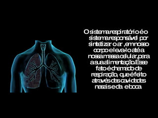 O sistema respiratório é o sistema responsável por sintetizar o ar ,em nosso corpo e leva-lo até a nossa massa celular,para a sua alimentação.Esse fato é chamado de respiração, que é feito através das cavidades nasais e da  e boca. 
