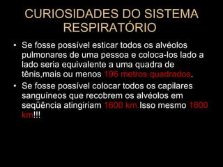 CURIOSIDADES DO SISTEMA RESPIRATÓRIO  Se fosse possível esticar todos os alvéolos pulmonares de uma pessoa e coloca-los lado a lado seria equivalente a uma quadra de tênis,mais ou menos  196 metros quadrados . Se fosse possível colocar todos os capilares sanguíneos que recobrem os alvéolos em seqüência atingiriam  1600 km. Isso   mesmo  1600 km !!! 