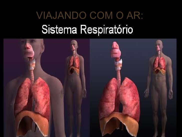 VIAJANDO COM O AR: 