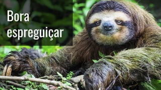 Bora
espreguiçar
 