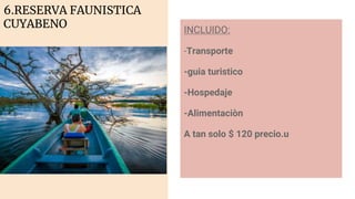 6.RESERVA FAUNISTICA
CUYABENO INCLUIDO:
-Transporte
-guia turistico
-Hospedaje
-Alimentaciòn
A tan solo $ 120 precio.u
 