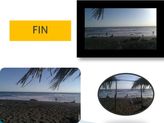 Viaje. LIFE FORCHING