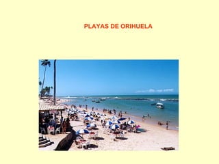 PLAYAS   DE ORIHUELA 