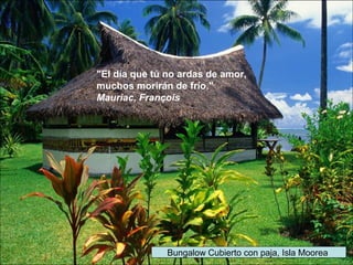 Bungalow Cubierto con paja, Isla Moorea
"El día que tú no ardas de amor,
muchos morirán de frío."
Mauriac, François
 