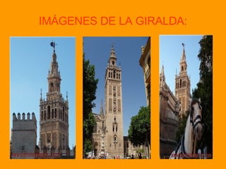 IMÁGENES DE LA GIRALDA: 