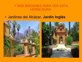 Y MÁS IMÁGENES PARA VER ESTA HERMOSURA: Jardines del Alcázar .   Jardín Inglés 