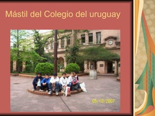 Mástil del Colegio del uruguay 