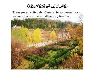 GENERALIFE.
•El mayor atractivo del Generalife es pasear por su
jardines, con cascadas, albercas y fuentes.
 
